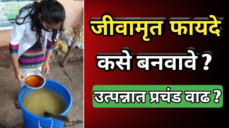 जीवामृत, jivamrut,