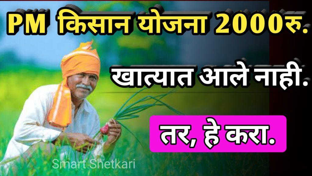 Pm kisan yojna, pm किसान योजना,