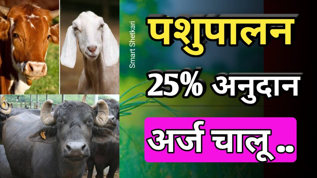 गाय म्हैस योजना, maharashtra yojna, पशुपालन, nabard dairy loan, shetkari,