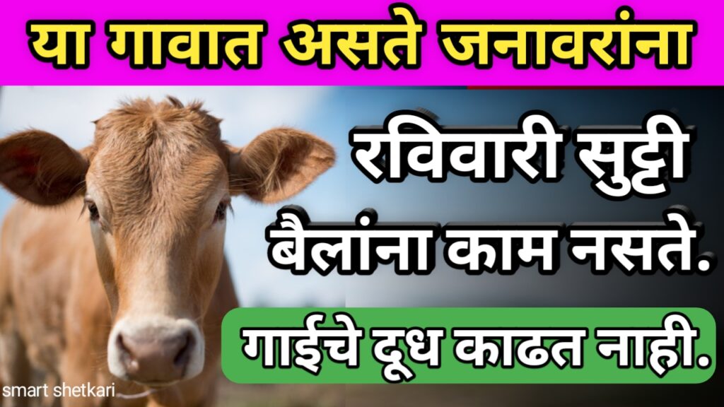 शेतकरी, shetkari,