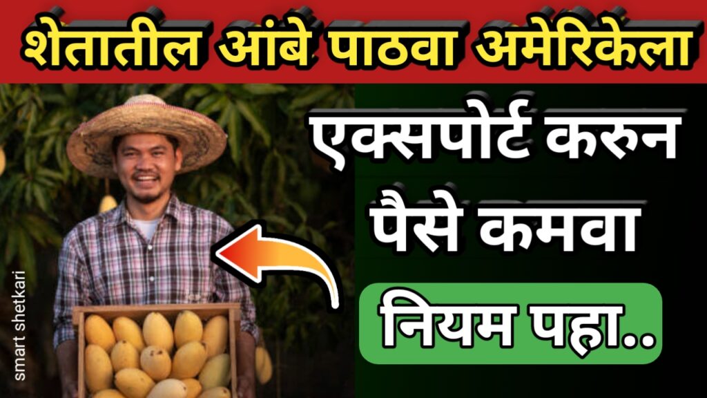 आंबा एक्सपोर्ट,